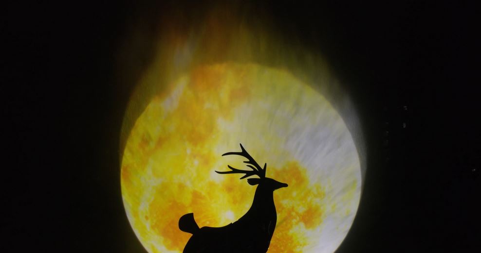 1641967137166899.jpg 7.jpg