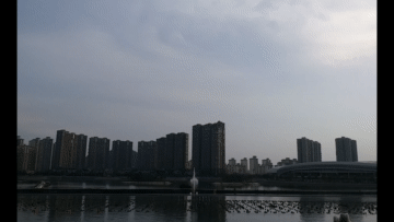 1651888512189158.gif 2.gif